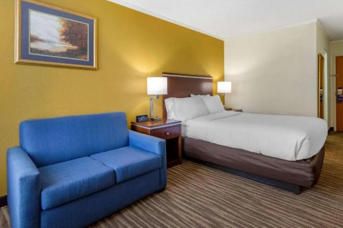 Comfort Inn Roanoke Civic Center Room photo